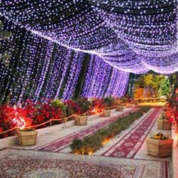 باغ توت فرنگی شیراز