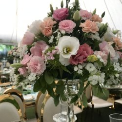 باغ تالار موسوی