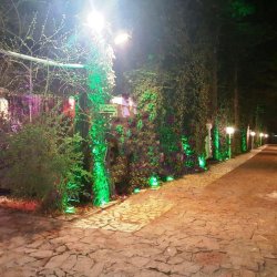 باغ تالار گل طرقبه