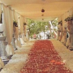 باغ تالار پرنیا