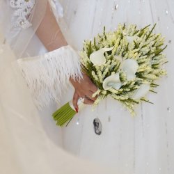 آتلیه ساترین