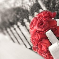 آتلیه آوای شرقی