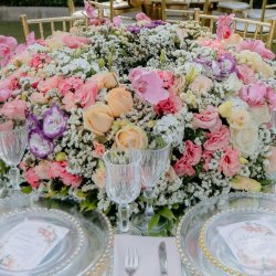 گل زعفرانیه 