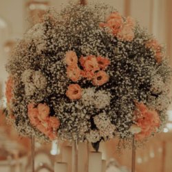 گلفروشی زیبا گل 