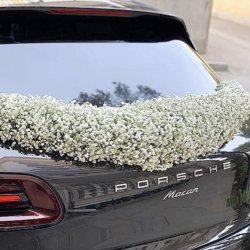 گلفروشی محمدی