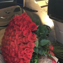 گل مریم 