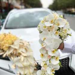 گل مزرعه گلها