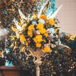 گلفروشی مزرعه گل