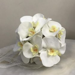 گل مهتاب 