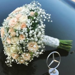 گل مهدوی 