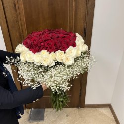 گل نوبهار 