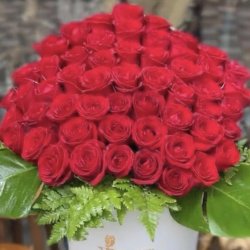 گلفروشی گلستان