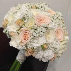 گل زیبا 