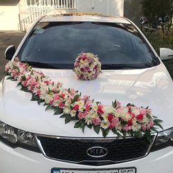گلفروشی امینی 
