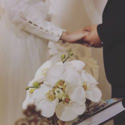 استودیو پدرا