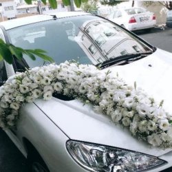 گلفروشی گیتی نو