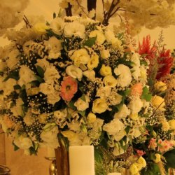 گل مثنوی 