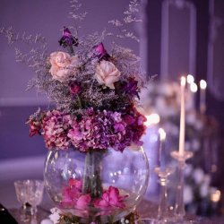 گلفروشی گل های داوودی