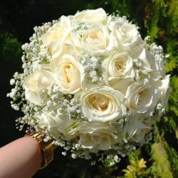 گل سهروردی 