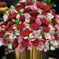 گل شجاعی