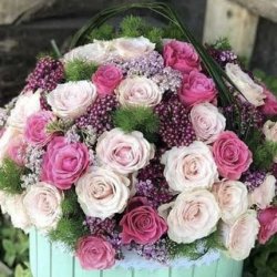 گلفروشی شقایق 