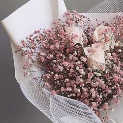 گلفروشی شقایق 