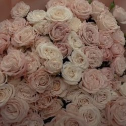 گل فروشی شهرک