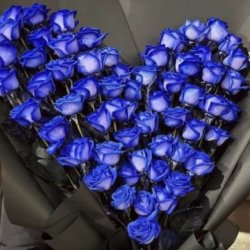 گلفروشی شهلا