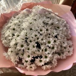 گلفروشی شیدا