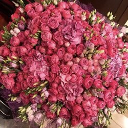 گل صادقی