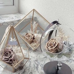 گلفروشی قصر رازی