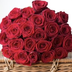 گلفروشی قصر گل عروس