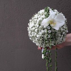 گلفروشی آبان