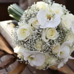 گلفروشی آزالیا