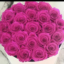 گلفروشی بخارست