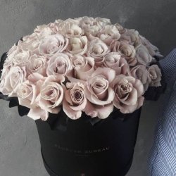 گلفروشی باغچه بیدی