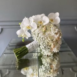 گلفروشی پارس 