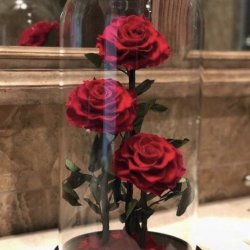 گلفروشی تینا