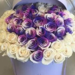 گلفروشی خانه سبز 
