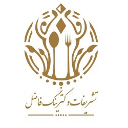 فاضل