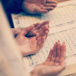 آتلیه اسپیکو