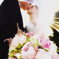 استودیو نگاه برتر