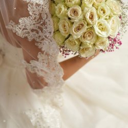 آتلیه شقایق شاملو