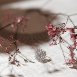 آتلیه ارکیده