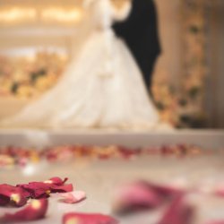 آتلیه چیترا