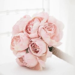 آتلیه اکباتان