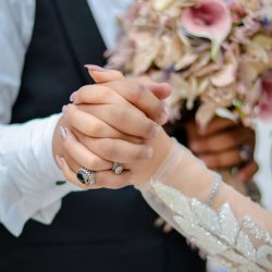آتلیه آپامه